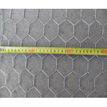 Galvanized Heavy Hexagonal Wire Mesh